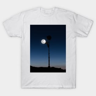 Climbing the moon T-Shirt